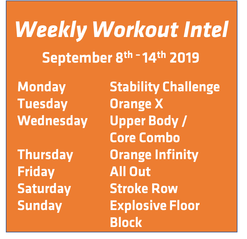 weekly workout intel september 8 16 22