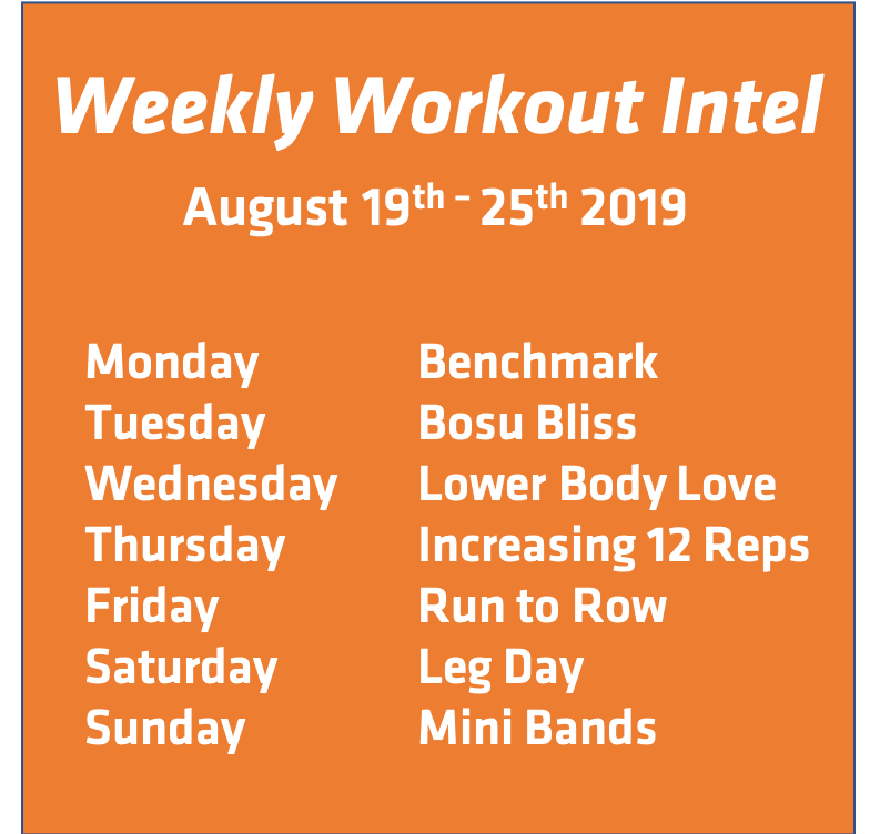 weekly workout intel 8 19 25 2019